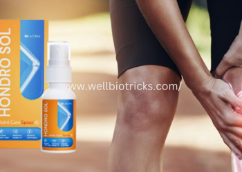 Hondro Sol Rendelés