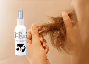 The Head Orden