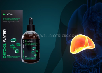 Detoxil Water Rendelés