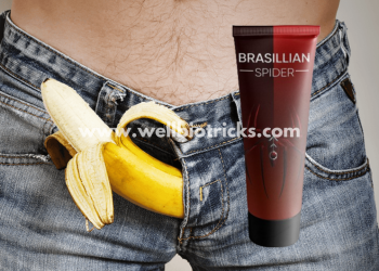 Brazilian Spider طلب