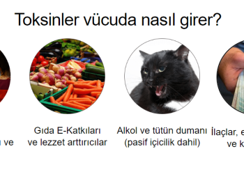 Detox Care Turkey
