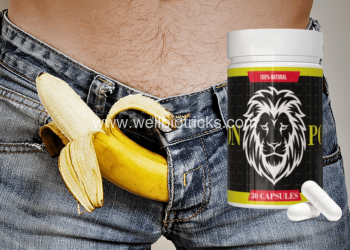 Lion Power Commande
