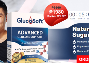 GlucoSoft Work