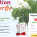 Motion Energy Orden