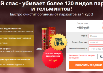 Ягодный спас Заказ