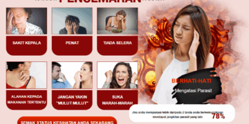 Parasotin Kapsul Malaysia