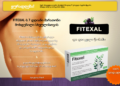 Fitexal Georgia